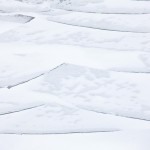 _MG_0074