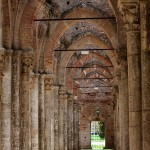 _MG_6798