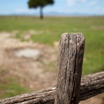 _MG_7007