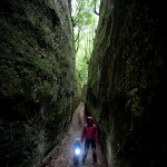_MG_7236