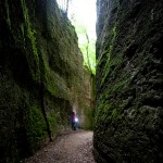 _MG_7237
