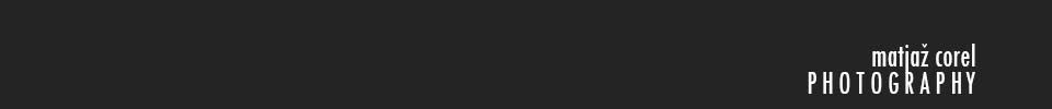 matjazcorel.com logo