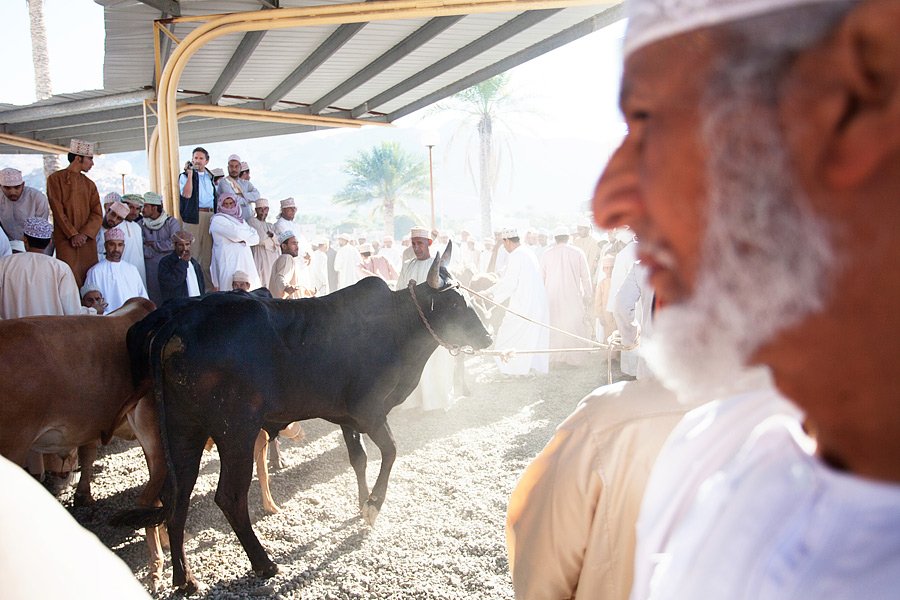 Oman – Nizwa in okolica