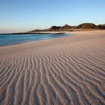 Oman - Masirah island - 1.del