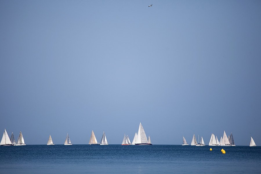 _MG_9660