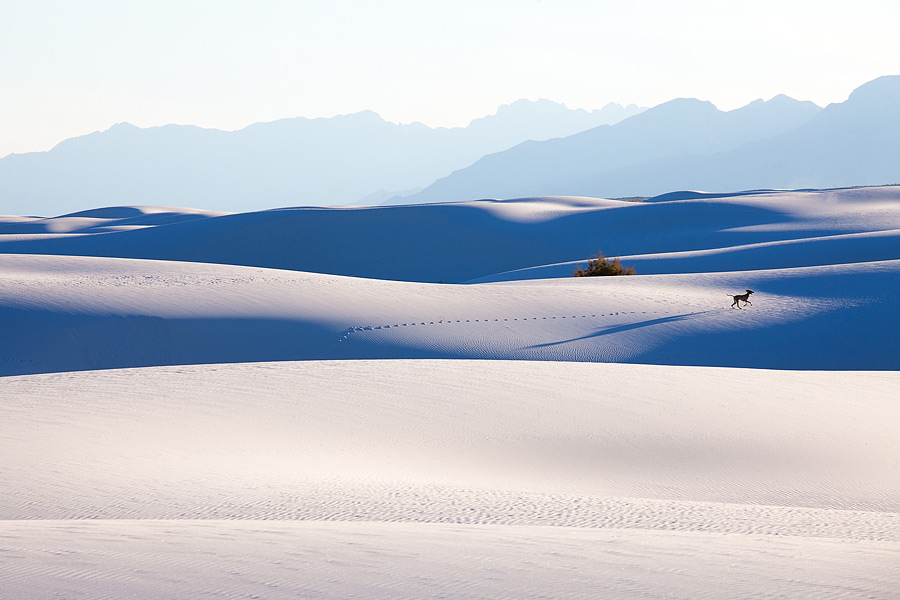 USA road trip – White Sands National Monument