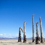 USA road trip - Las Vegas