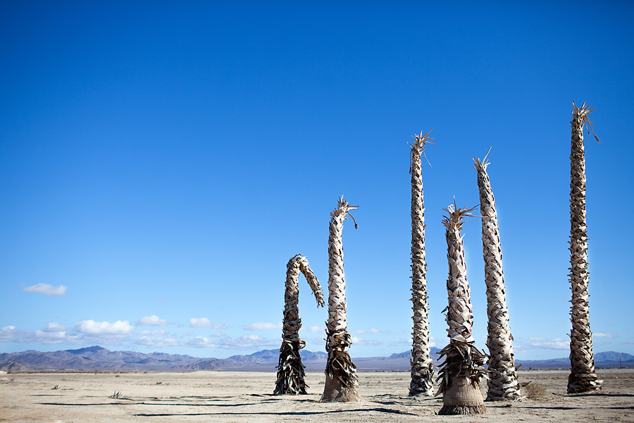 USA road trip – Las Vegas