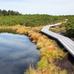 Črno jezero in Lovrenška jezera