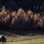 Jesenska Planina Konjščica