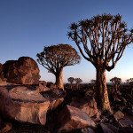 From Windhoek to Keetmanshoop, Namibija