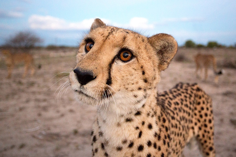 _X3A6349