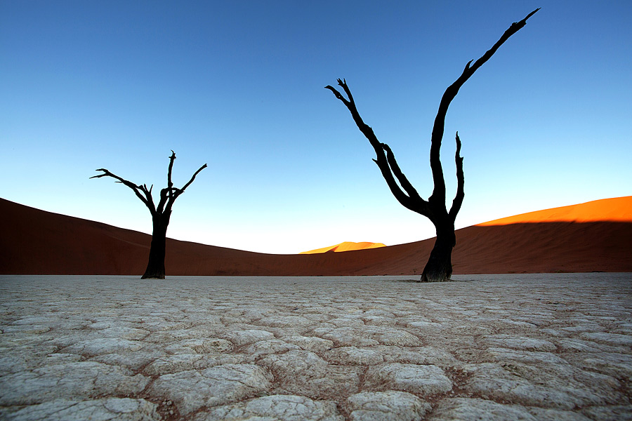 Dead Vlei, Namibija