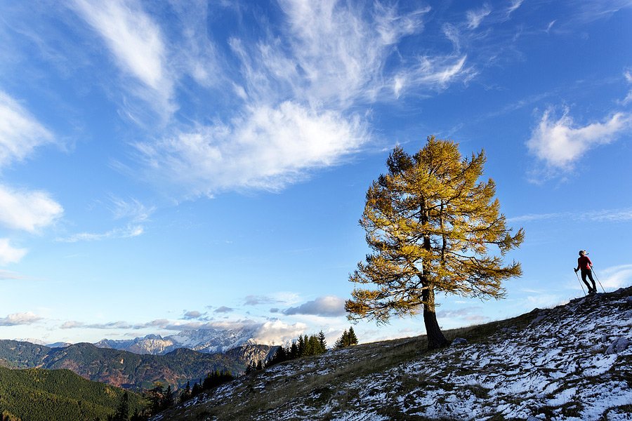Brez vstopnine – planina Pungrat