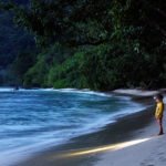 Divji raj južno od Padanga - Rimba Ecolodge, Sumatra, Indonezija