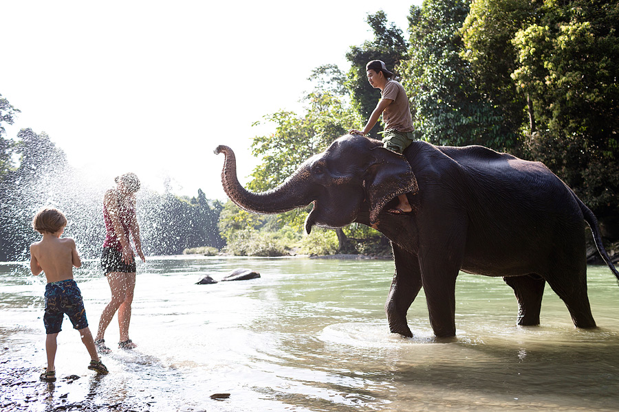 V kraljestvu sumatranskih slonov, Sumatra, Indonezija