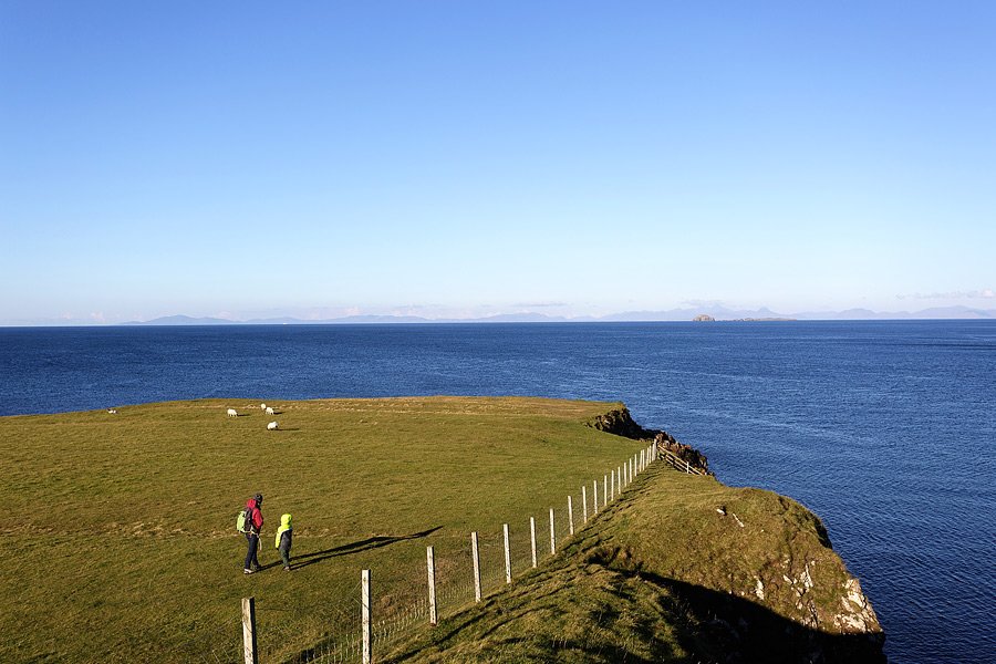 _x3a8017