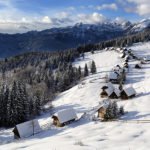 Planina Zajamniki - avantura v zimsko kraljestvo pokljuških gozdov