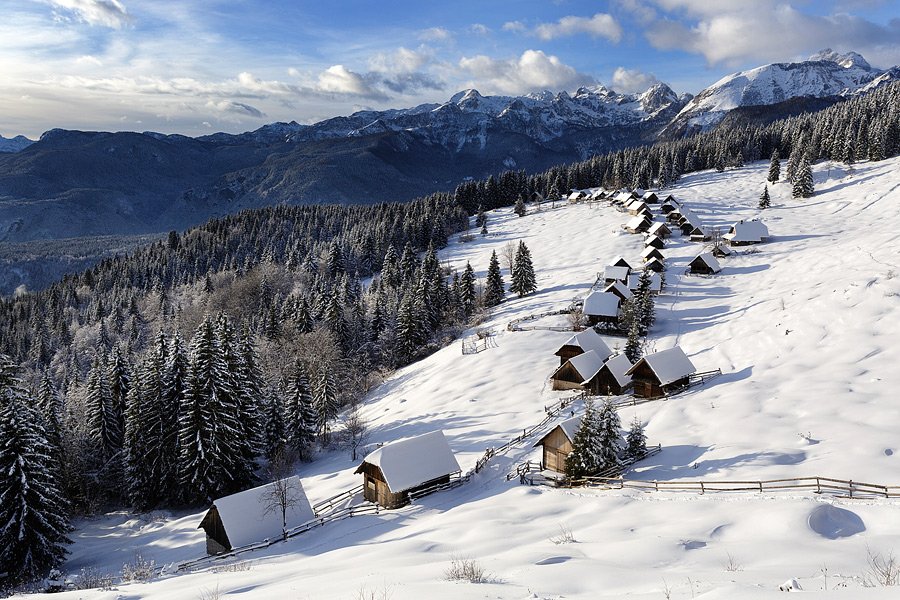 Planina Zajamniki – avantura v zimsko kraljestvo pokljuških gozdov