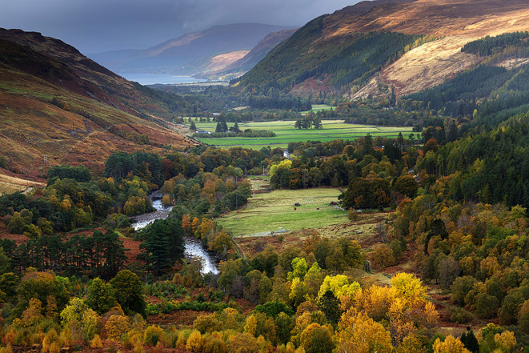 Scotlandfores