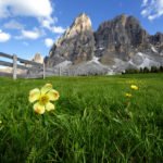 Sass de Putia, Dolomiti, Italija