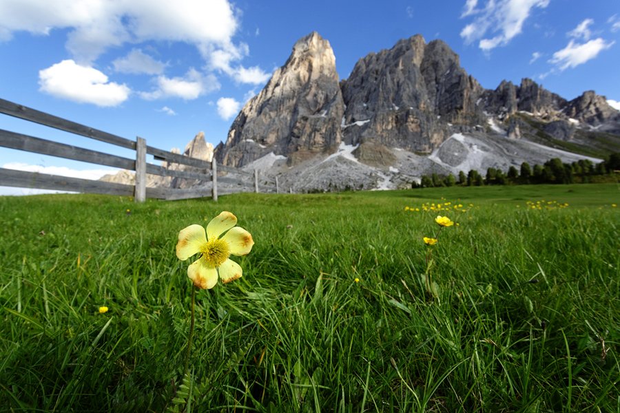 Sass de Putia, Dolomiti, Italija