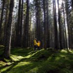 Pokljuka