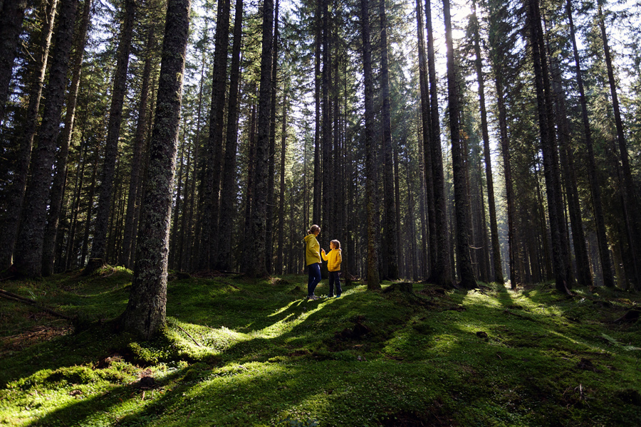 Pokljuka