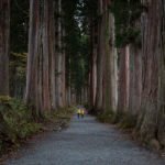 Med stoletnimi cedrami do svetišča Togakushi - Japonska