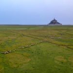 Čez morje in živo blato vse do Mont Saint Michel, Francija