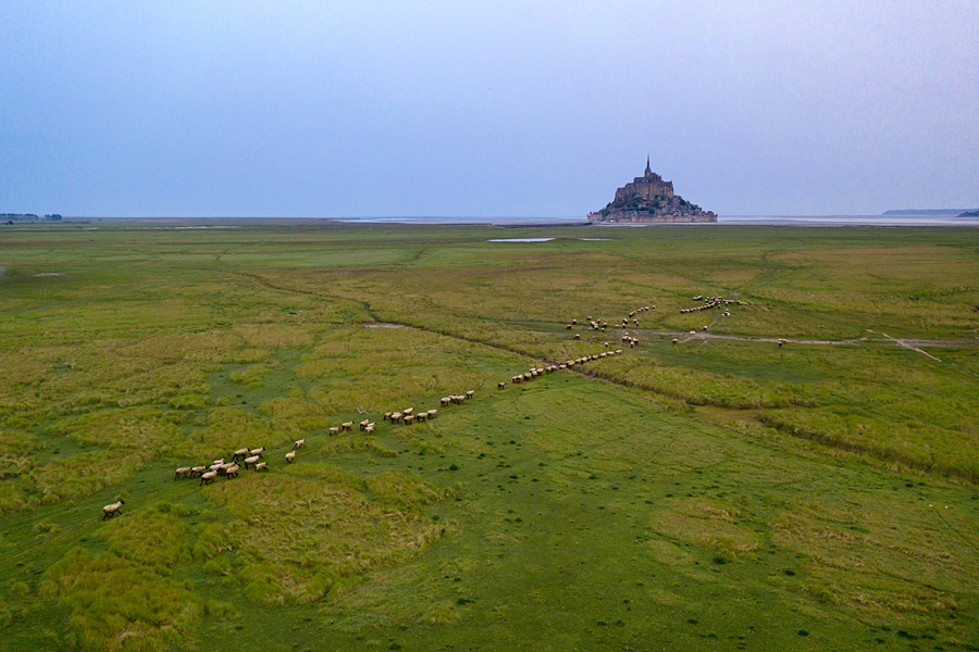Čez morje in živo blato vse do Mont Saint Michel, Francija