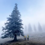 Meglena Velika Planina