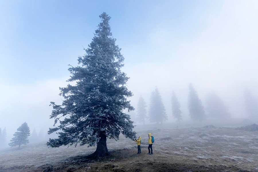 Meglena Velika Planina