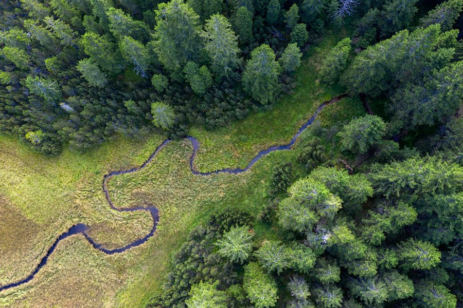 Črno jezero, Pohorje