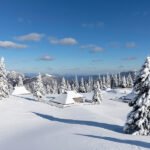 Velika planina zadnjič to zimo