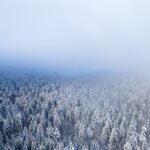 Preživetje na bojišču - 2.del