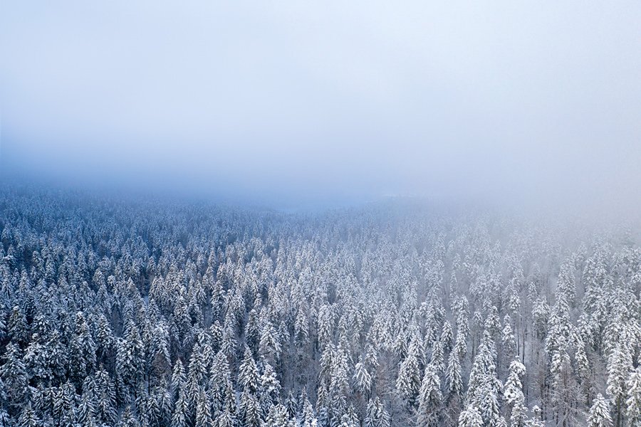 Preživetje na bojišču – 2.del