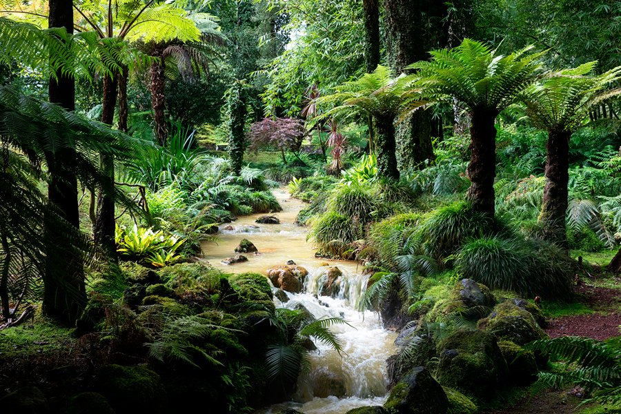 Botanični vrt Parque Terra Nostra, Azori