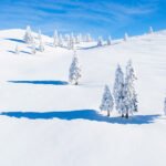 Velika planina - zimski pohod po zasneženi pravljici