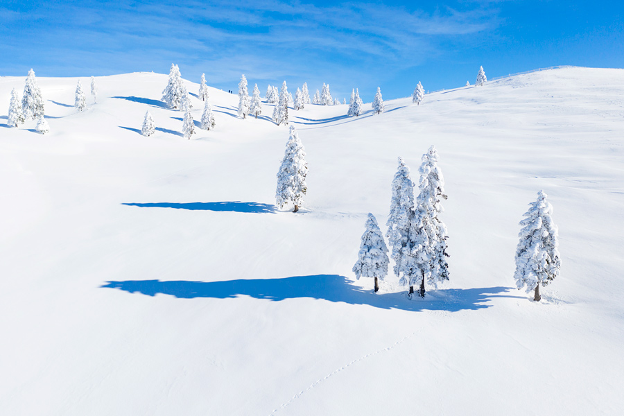 Velika planina – zimski pohod po zasneženi pravljici