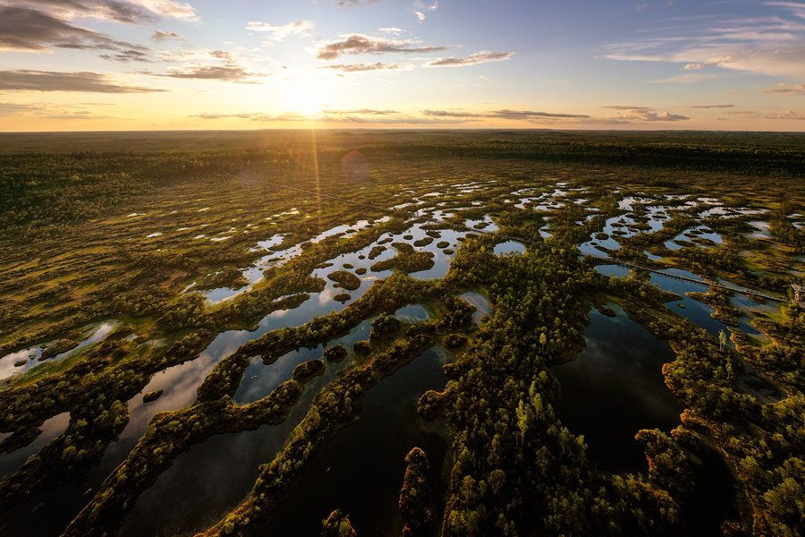 Estonija + Latvija – road trip po Baltiku