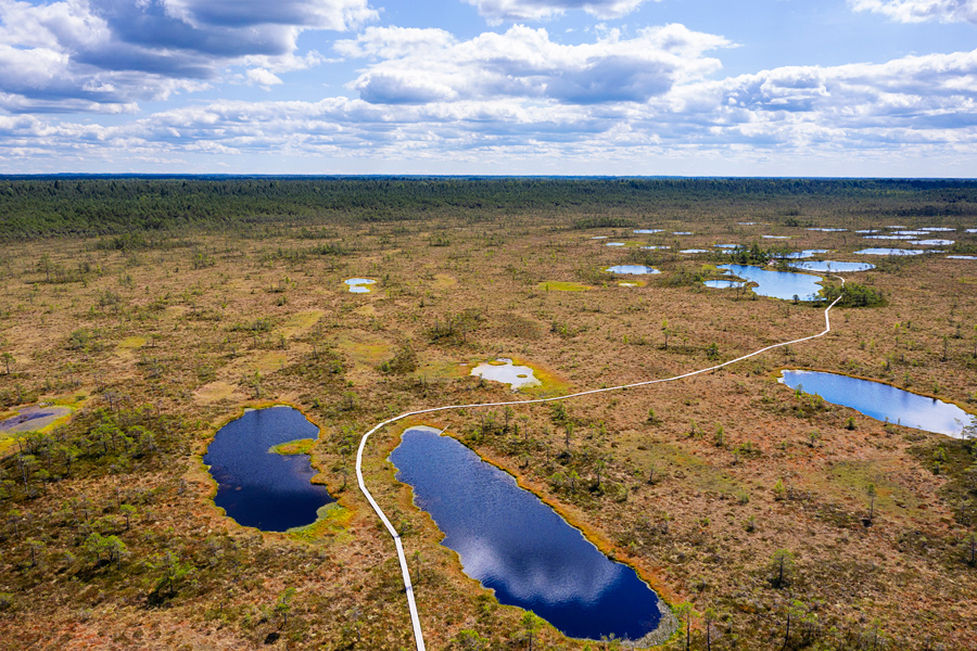 Pot pod noge in vse do ruske meje, Estonija