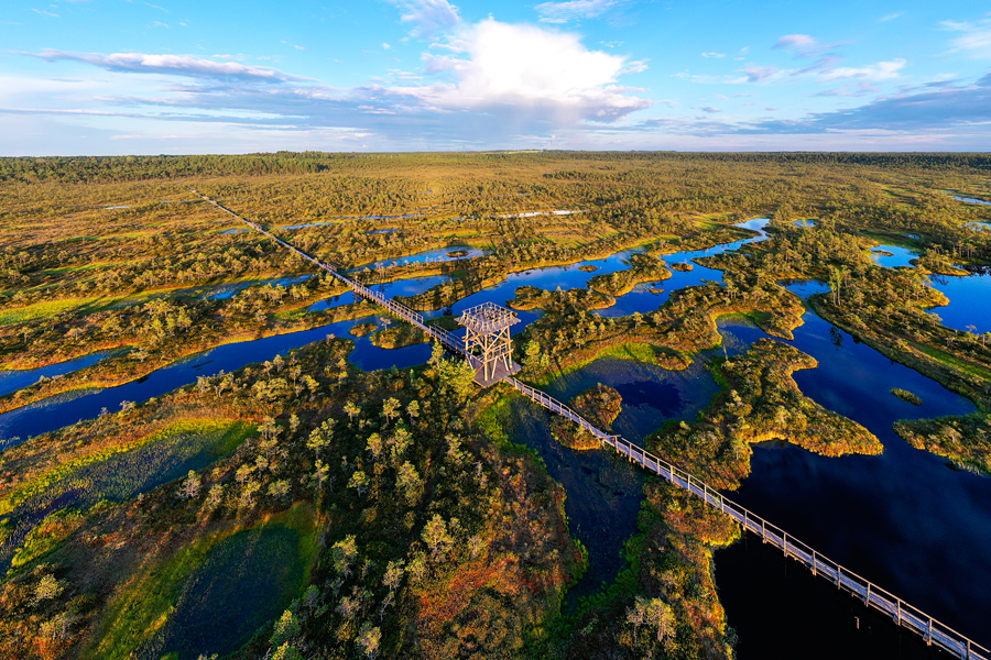 Pohodniška pot Mannikjarv, Estonija