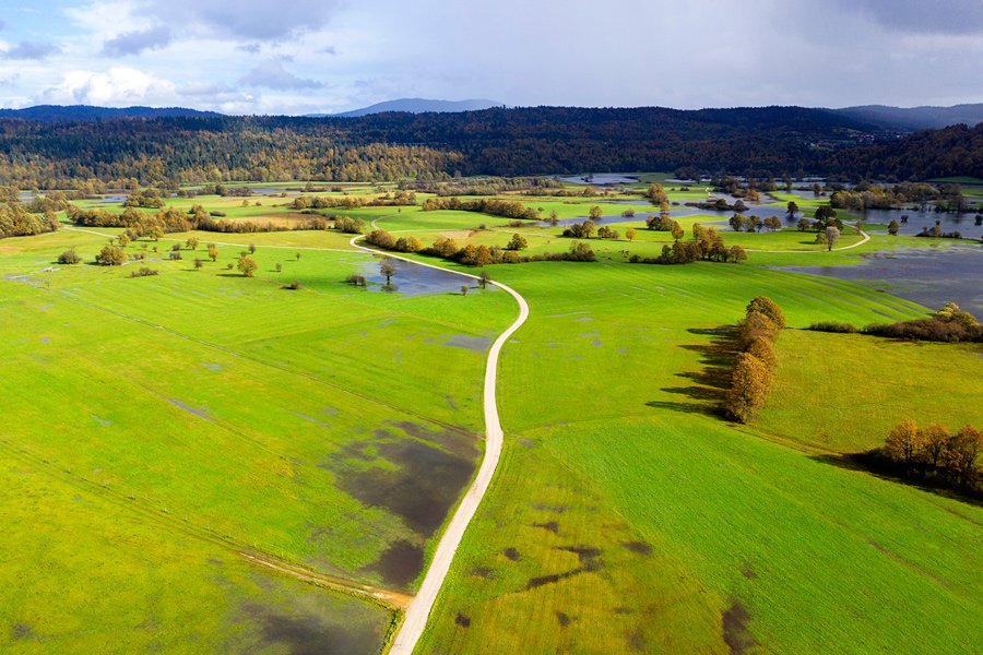 Planinsko polje in okolica v jesenskih barvah