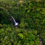 La Fortuna in Rio Celeste, Kostarika