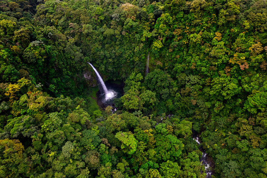La Fortuna in Rio Celeste, Kostarika