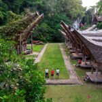 Sulawesi - prvo javljanje
