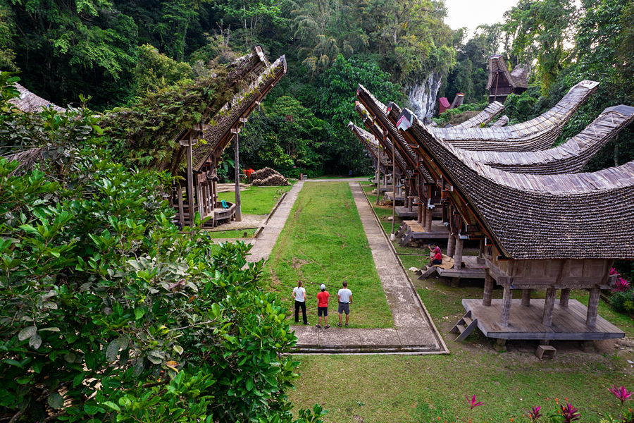 Sulawesi – prvo javljanje