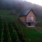Jesen nad Krko, med vinogradi in v Rogu