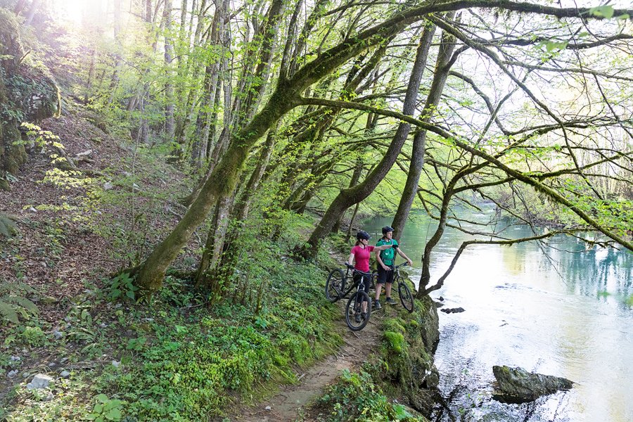 Kolesarjenje – reka Krka in Kočevski rog